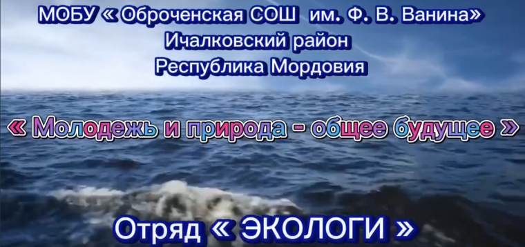 Конкурс Экологических агитбригад.
